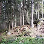 酒店 格拉迪欧酒店 Železná Ruda