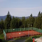 格拉迪欧酒店 酒店 Železná Ruda