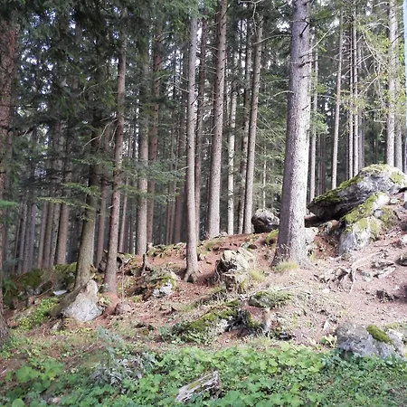 ホテル Gradl Železná Ruda